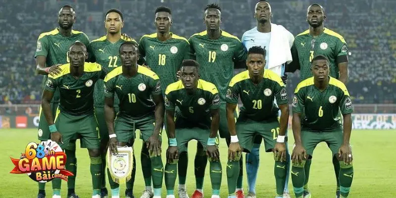 Đội Tuyển Senegal – Hành Trình Vươn Tầm bóng Đá Châu Phi 4 doi tuyen senegal