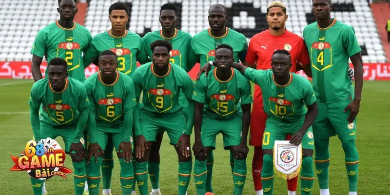 Đội Tuyển Senegal – Hành Trình Vươn Tầm bóng Đá Châu Phi 3 Thành tích đáng chú ý của đội tuyển Senegal